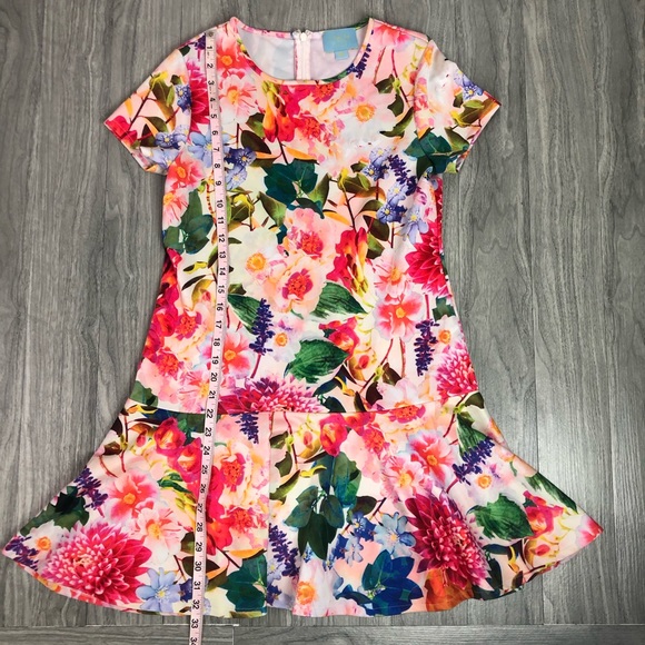 Drop waist Botanical Floral Short Sleeve Dress - Picture 3 of 7